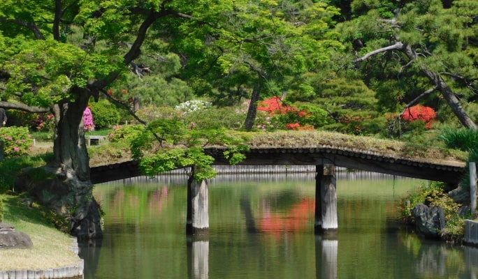 Spring Special: Showa Kinen Park + Rikugien Gardens + Asukayama Park 1 Day Tour from Tokyo (Mar 21~Apr 9)